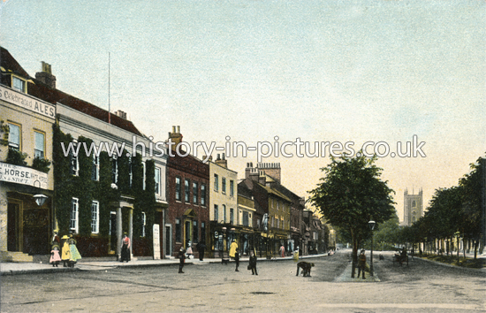 St Peter's Street, St Albans, Herts. c.1906